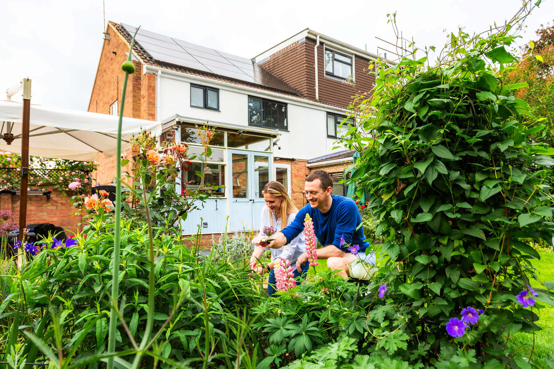 Homeowners in their garden with rooftop solar panels